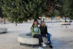 IMG-20241116-WA0041-1